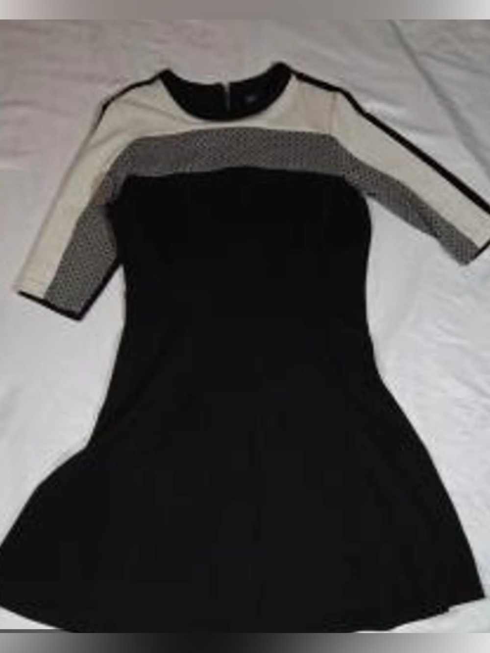 Gabby Skye Black and Cream Short Sleeve Fit & Flare Dress